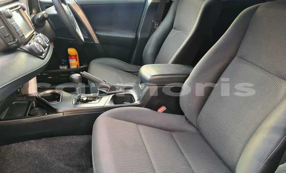 Buy Used Toyota RAV4 Red Car in Vacoas–Phoenix in Plaines Wilhems District Buy Used Toyota RAV4 Red Car in Vacoas–Phoenix in Plaines Wilhems District