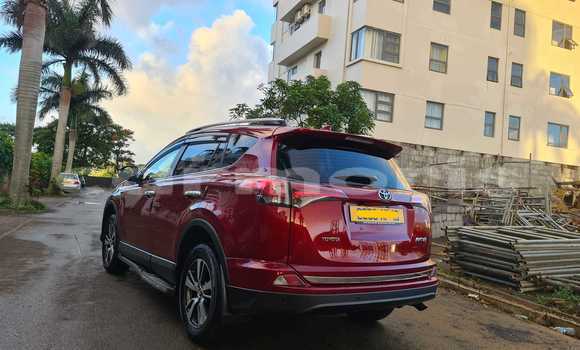 Buy Used Toyota RAV4 Red Car in Vacoas–Phoenix in Plaines Wilhems District Buy Used Toyota RAV4 Red Car in Vacoas–Phoenix in Plaines Wilhems District