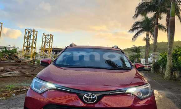 Buy Used Toyota RAV4 Red Car in Vacoas–Phoenix in Plaines Wilhems District Buy Used Toyota RAV4 Red Car in Vacoas–Phoenix in Plaines Wilhems District