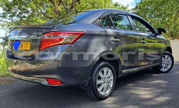 Buy Used Toyota Yaris Other Car in Port Louis in Port Louis District Buy Used Toyota Yaris Other Car in Port Louis in Port Louis District
