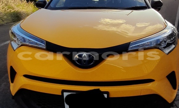 Buy Used Toyota C-HR Other Car in Tamarin in Black River District