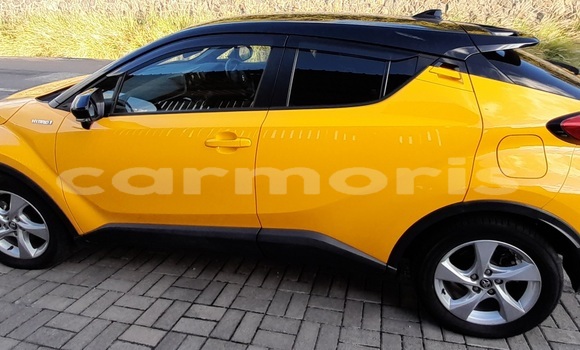Buy Used Toyota C-HR Other Car in Tamarin in Black River District Buy Used Toyota C-HR Other Car in Tamarin in Black River District