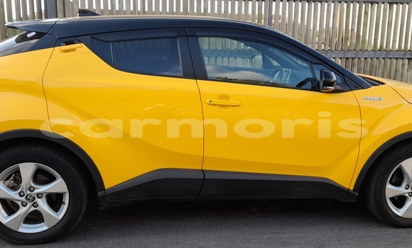Buy Used Toyota C-HR Other Car in Tamarin in Black River District Buy Used Toyota C-HR Other Car in Tamarin in Black River District