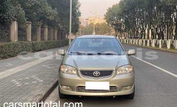Buy Used Toyota Vios Silver Car in Albion in Black River District Buy Used Toyota Vios Silver Car in Albion in Black River District