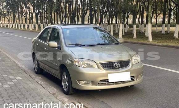 Buy Used Toyota Vios Silver Car in Albion in Black River District Buy Used Toyota Vios Silver Car in Albion in Black River District