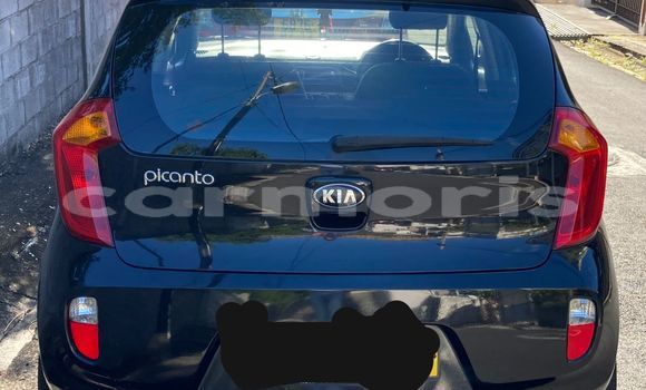 Buy Used Kia Picanto Black Car in Port Louis in Port Louis District Buy Used Kia Picanto Black Car in Port Louis in Port Louis District