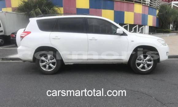 Buy Used Toyota RAV4 White Car in Baie Malgache in Rodrigues Buy Used Toyota RAV4 White Car in Baie Malgache in Rodrigues