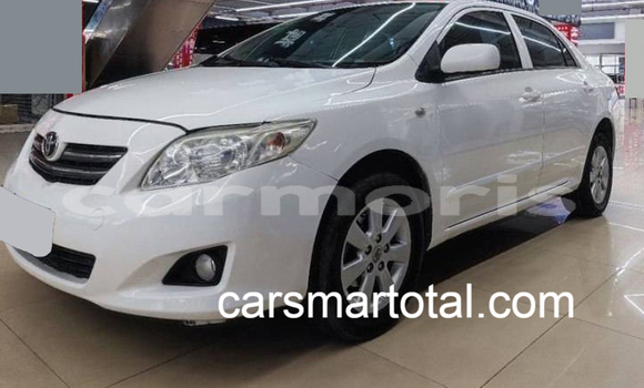 Buy Used Toyota Corolla White Car in Brisee Verdiere in Flacq Buy Used Toyota Corolla White Car in Brisee Verdiere in Flacq