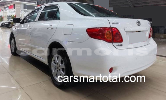 Buy Used Toyota Corolla White Car in Brisee Verdiere in Flacq Buy Used Toyota Corolla White Car in Brisee Verdiere in Flacq