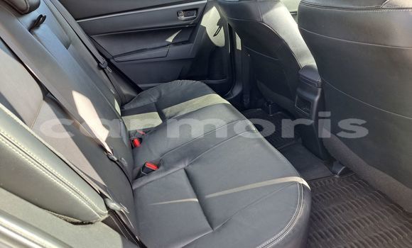 Buy Used Toyota Corolla Silver Car in Grand Baie–Montagne Goyaves in Rodrigues Buy Used Toyota Corolla Silver Car in Grand Baie–Montagne Goyaves in Rodrigues