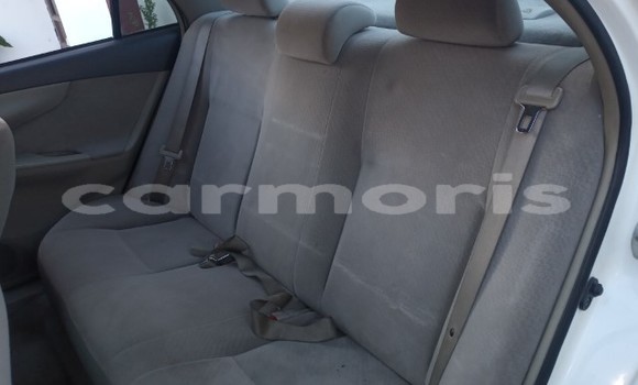 Buy Used Toyota Axio White Car in Beau Bassin–Rose Hill in Plaines Wilhems District Buy Used Toyota Axio White Car in Beau Bassin–Rose Hill in Plaines Wilhems District