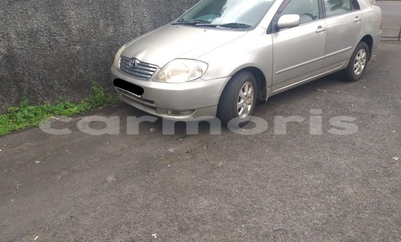 Buy Used Toyota Corolla Silver Car in Mahébourg in Grand Port District