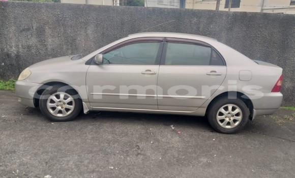 Buy Used Toyota Corolla Silver Car in Mahébourg in Grand Port District Buy Used Toyota Corolla Silver Car in Mahébourg in Grand Port District