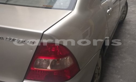 Buy Used Toyota Corolla Silver Car in Mahébourg in Grand Port District Buy Used Toyota Corolla Silver Car in Mahébourg in Grand Port District