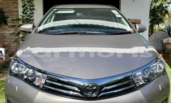 Buy New Toyota Corolla Brown Car in Mahébourg in Grand Port District Buy New Toyota Corolla Brown Car in Mahébourg in Grand Port District