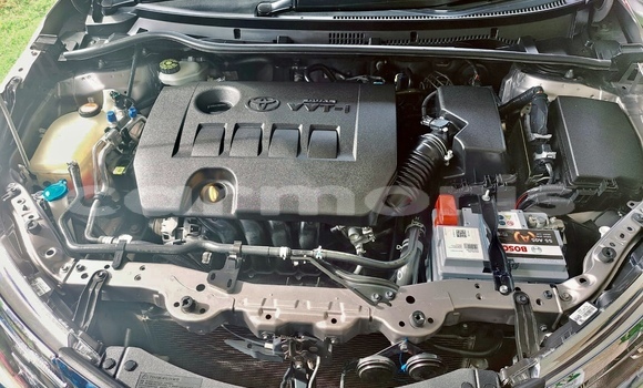 Buy New Toyota Corolla Brown Car in Mahébourg in Grand Port District Buy New Toyota Corolla Brown Car in Mahébourg in Grand Port District