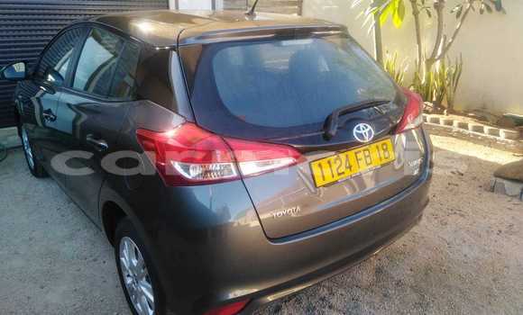 Acheter Occasion Voiture Toyota Yaris Gris à Albion, Black River District