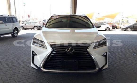 Buy Used Lexus RX 350 White Car in Arsenal in Pamplemousses District Buy Used Lexus RX 350 White Car in Arsenal in Pamplemousses District