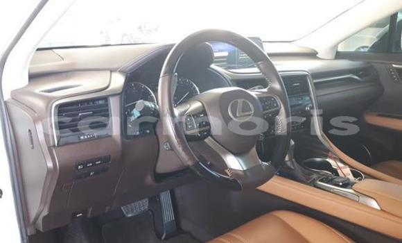 Buy Used Lexus RX 350 White Car in Arsenal in Pamplemousses District Buy Used Lexus RX 350 White Car in Arsenal in Pamplemousses District