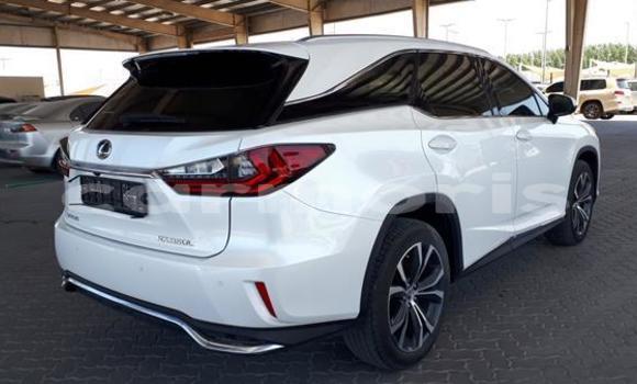 Buy Used Lexus RX 350 White Car in Arsenal in Pamplemousses District Buy Used Lexus RX 350 White Car in Arsenal in Pamplemousses District