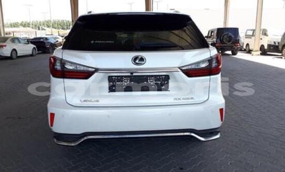 Buy Used Lexus RX 350 White Car in Arsenal in Pamplemousses District Buy Used Lexus RX 350 White Car in Arsenal in Pamplemousses District