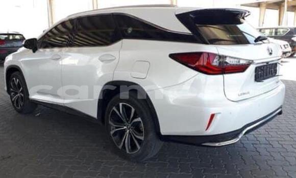 Buy Used Lexus RX 350 White Car in Arsenal in Pamplemousses District Buy Used Lexus RX 350 White Car in Arsenal in Pamplemousses District