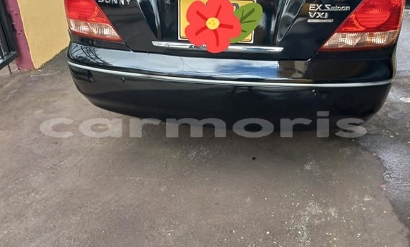 Buy Used Nissan Sunny Black Car in Vacoas–Phoenix in Plaines Wilhems District Buy Used Nissan Sunny Black Car in Vacoas–Phoenix in Plaines Wilhems District