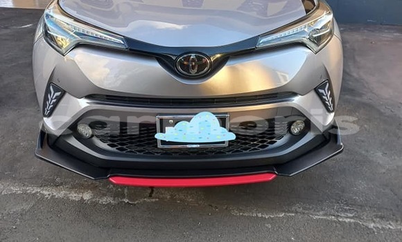 Buy Used Toyota C-HR Silver Car in Vacoas–Phoenix in Plaines Wilhems District Buy Used Toyota C-HR Silver Car in Vacoas–Phoenix in Plaines Wilhems District
