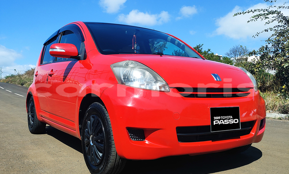 Buy Used Toyota Passo Red Car in Quatre Bornes in Plaines Wilhems District