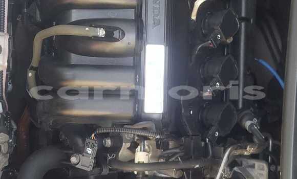Buy Used Honda fit Red Car in Pamplemousse in Pamplempousses Buy Used Honda fit Red Car in Pamplemousse in Pamplempousses