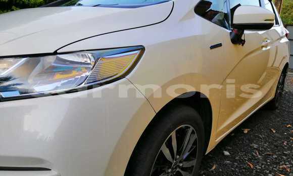 Buy Used Honda fit White Car in Rose Belle in Grand Port District Buy Used Honda fit White Car in Rose Belle in Grand Port District