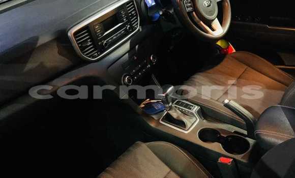 Buy Used Kia Sportage Silver Car in Port Louis in Port Louis District Buy Used Kia Sportage Silver Car in Port Louis in Port Louis District