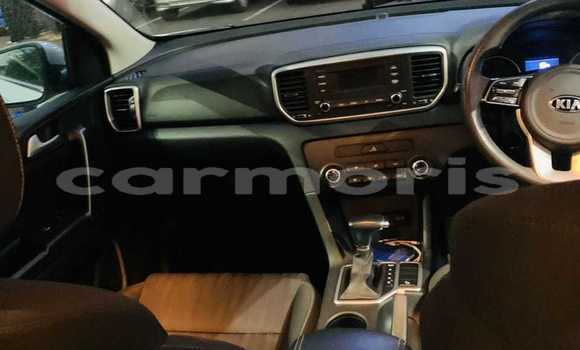 Buy Used Kia Sportage Silver Car in Port Louis in Port Louis District Buy Used Kia Sportage Silver Car in Port Louis in Port Louis District