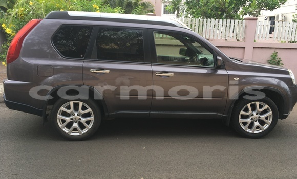 Buy Used Nissan X–Trail Brown Car in Triolet in Pamplempousses
