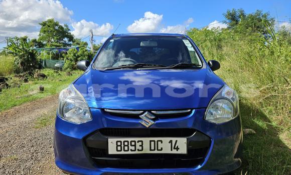 Buy Used Suzuki Alto Blue Car in Notre Dame in Pamplempousses