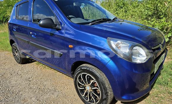 Buy Used Suzuki Alto Blue Car in Notre Dame in Pamplempousses Buy Used Suzuki Alto Blue Car in Notre Dame in Pamplempousses