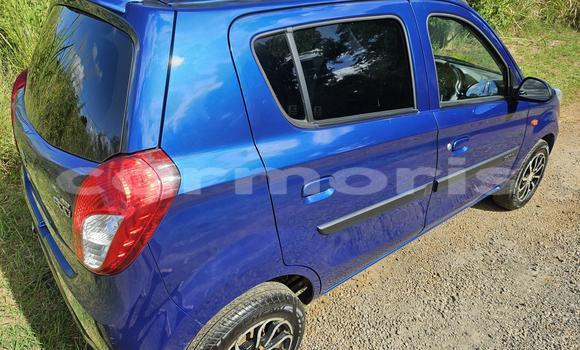 Buy Used Suzuki Alto Blue Car in Notre Dame in Pamplempousses Buy Used Suzuki Alto Blue Car in Notre Dame in Pamplempousses