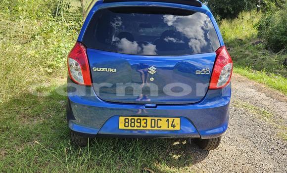 Buy Used Suzuki Alto Blue Car in Notre Dame in Pamplempousses Buy Used Suzuki Alto Blue Car in Notre Dame in Pamplempousses
