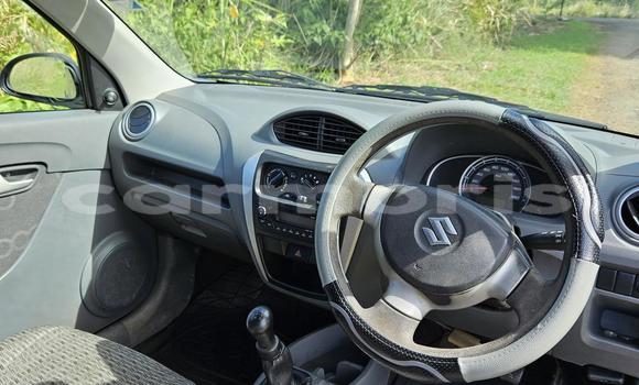 Buy Used Suzuki Alto Blue Car in Notre Dame in Pamplempousses Buy Used Suzuki Alto Blue Car in Notre Dame in Pamplempousses