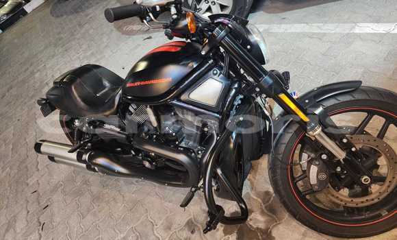 Buy Used Harley Davidson VRSC Black Bike in Bel Ombre in Savanne Buy Used Harley Davidson VRSC Black Bike in Bel Ombre in Savanne