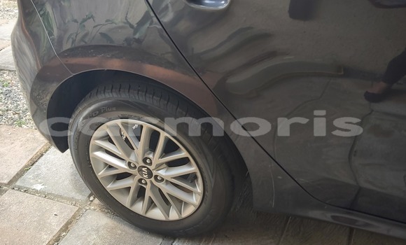 Buy Used Kia Rio Other Car in Triolet in Pamplempousses Buy Used Kia Rio Other Car in Triolet in Pamplempousses