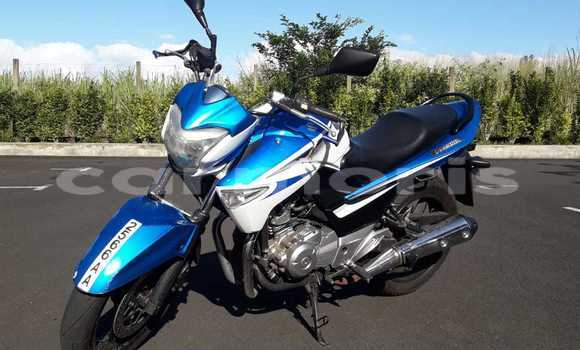 Buy Used Suzuki Inazuma Blue Bike in Beau Bassin–Rose Hill in Plaines Wilhems District