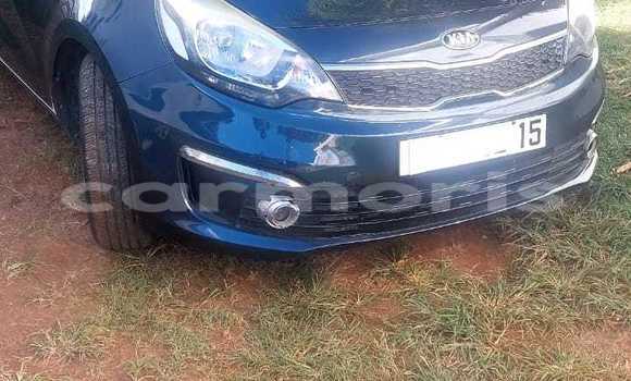 Buy Used Kia Rio Black Car in Terre Rouge in Pamplempousses