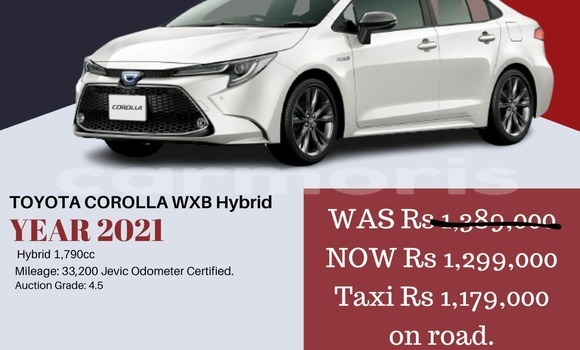 Buy Import AC Ace Other Car in Vacoas–Phoenix in Plaines Wilhems District Buy Import AC Ace Other Car in Vacoas–Phoenix in Plaines Wilhems District