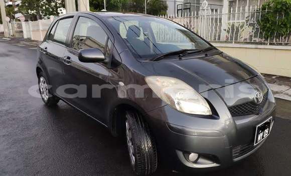 Buy Used Toyota Yaris Black Car in Port Louis in Port Louis District Buy Used Toyota Yaris Black Car in Port Louis in Port Louis District