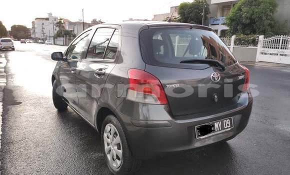 Buy Used Toyota Yaris Black Car in Port Louis in Port Louis District Buy Used Toyota Yaris Black Car in Port Louis in Port Louis District