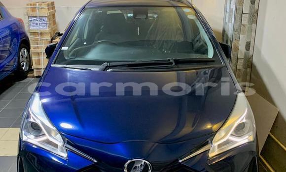 Buy Import Toyota Vitz Blue Car in Curepipe in Plaines Wilhems District