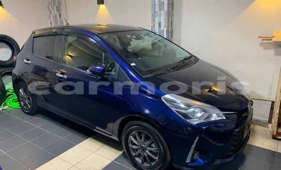 Buy Import Toyota Vitz Blue Car in Curepipe in Plaines Wilhems District Buy Import Toyota Vitz Blue Car in Curepipe in Plaines Wilhems District