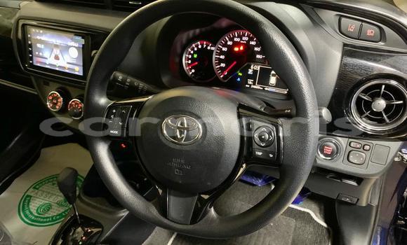 Buy Import Toyota Vitz Blue Car in Curepipe in Plaines Wilhems District Buy Import Toyota Vitz Blue Car in Curepipe in Plaines Wilhems District