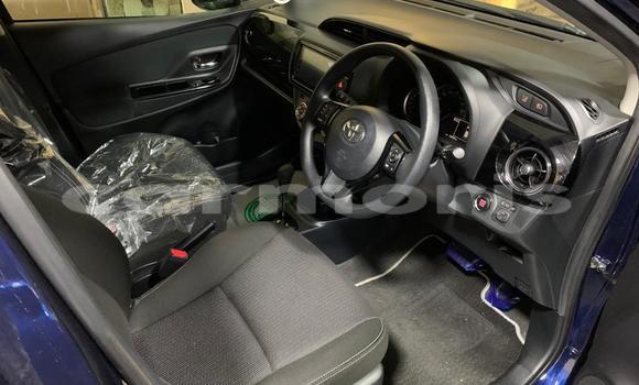 Buy Import Toyota Vitz Blue Car in Curepipe in Plaines Wilhems District Buy Import Toyota Vitz Blue Car in Curepipe in Plaines Wilhems District